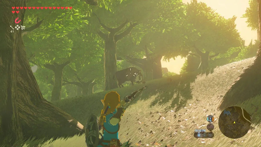 The Legend of Zelda