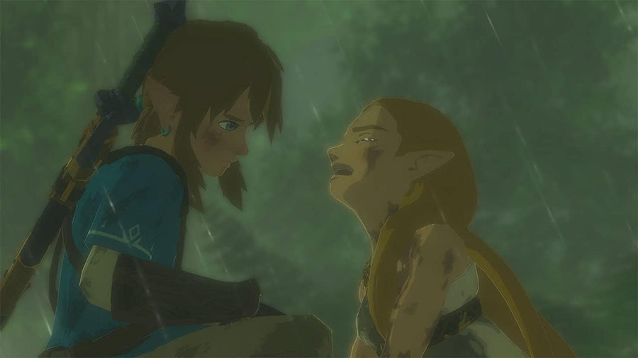 The Legend Of Zelda Breath Of The Wild Nintendo Switch Video Game (Nintendo Switch)