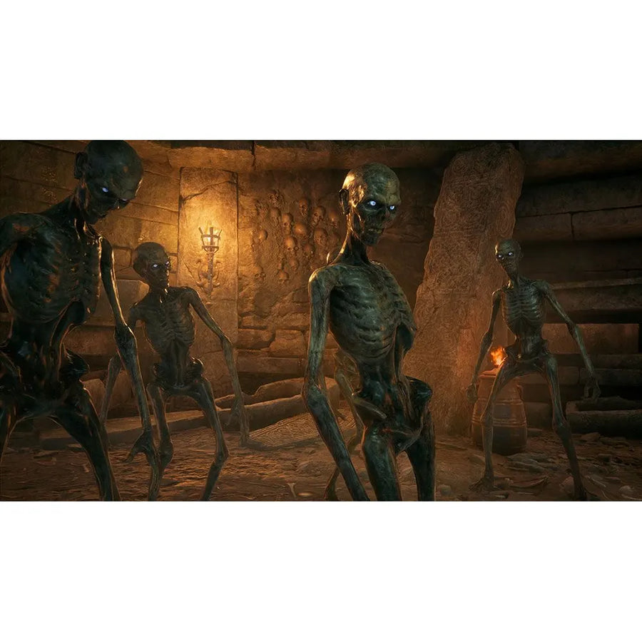 Hogwarts Legacy for Playstation 4