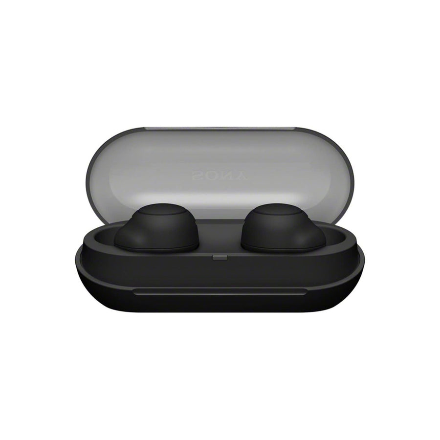 Sony WF-C500 Truly Wireless In-Ear Bluetooth Earbud Headphones with Mic and IPX4 water resistance
