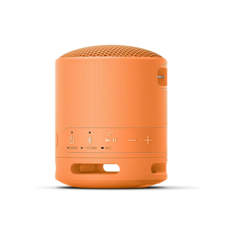 Sony XB100 Portable Wireless Speaker