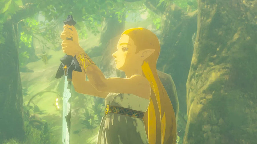 The Legend of Zelda