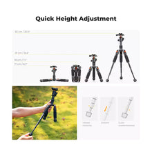 K&F Concept Mini Desktop Tripod Dubai | S225A0+BH-25L, 6kg Ball Head