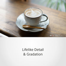 Sony FE 50mm F1.8 Compact Lightweight E Mount Lens with Beautiful Dedofusing Bokeh Compatible with Full Frame and APS C Camera SEL50F18F, Black, Lens Only