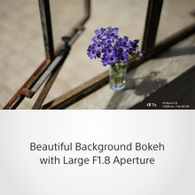 Sony FE 50mm F1.8 Compact Lightweight E Mount Lens with Beautiful Dedofusing Bokeh Compatible with Full Frame and APS C Camera SEL50F18F, Black, Lens Only