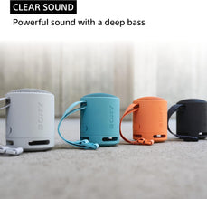 Sony SRS-XB100 Wireless Bluetooth Portable Lightweight Super-Compact Travel Speaker, Extra-Durable IP67 Waterproof & Dustproof, 16 Hour Battery, Versatile Strap, and Hands-Free Calling, Black New