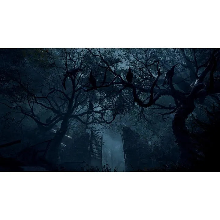 Resident Evil 4 Remake for PlayStation 5