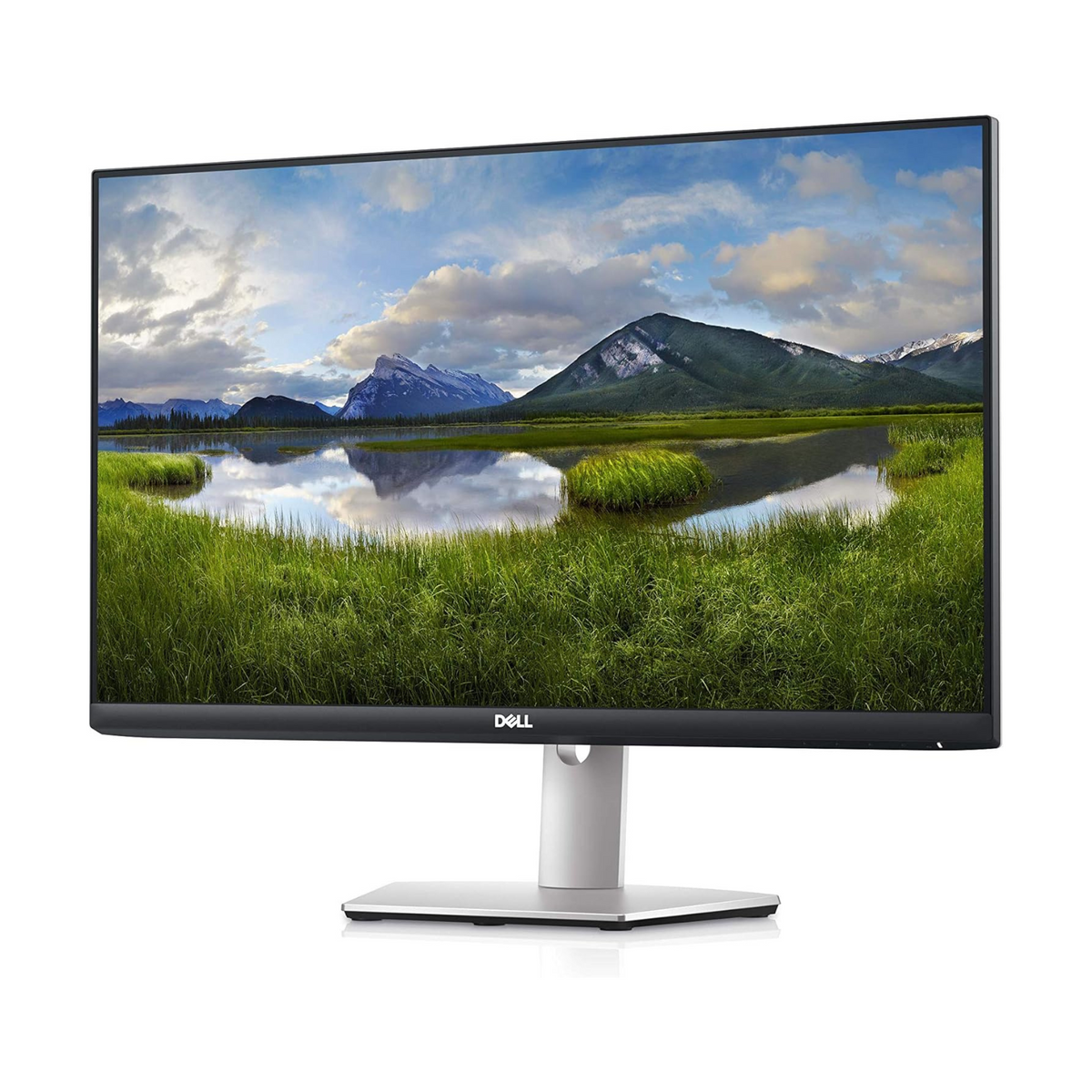 Dell S2421HS 24 Inch Full HD 1080p, IPS Ultra-Thin Bezel Monitor, Silver, Black