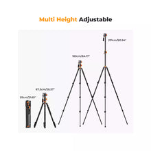 K&F Concept Fluid Head Tripod Dubai | T254A7+FH-03 Video Tripod, 5kg Load