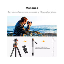 K&F Concept Fluid Head Tripod Dubai | T254A7+FH-03 Video Tripod, 5kg Load