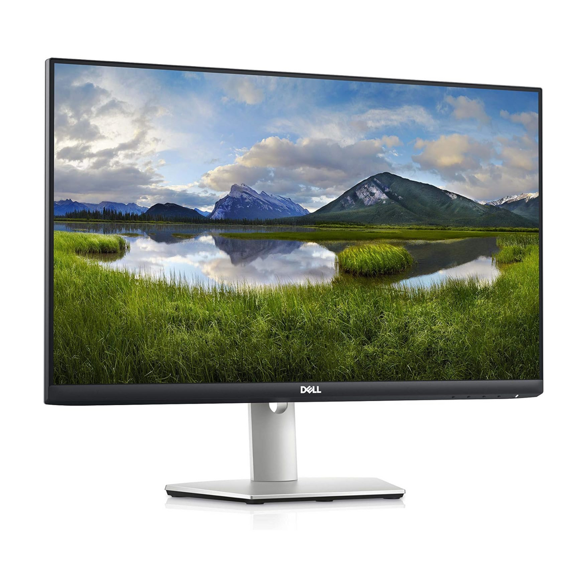 Dell S2421HS 24 Inch Full HD 1080p, IPS Ultra-Thin Bezel Monitor, Silver, Black