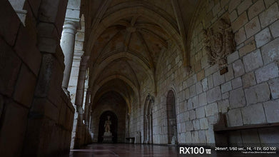 Sony Cyber-shot DSC-RX100 VII Digital Camera