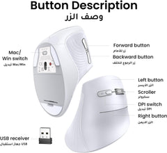 UGREEN Ergonomic Mouse, Vertical Wireless Mouse, 2.4GHz Optical Bluetooth Mice, 4 Adjustable DPI 1000/1600/2000/4000 Levels, 5 Buttons Mice for Laptop, PC, Chromebook, Desktop, Notebook etc, White