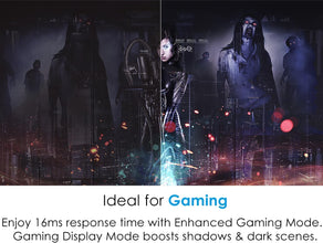 Optoma HD146X Full HD Home Theater Projector