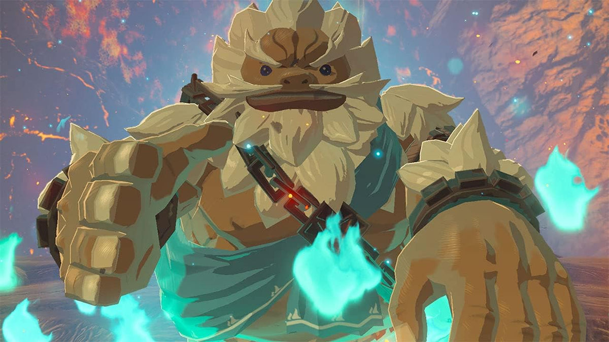 The Legend Of Zelda Breath Of The Wild Nintendo Switch Video Game (Nintendo Switch)