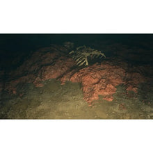 Saint Kotar for Playstation 5