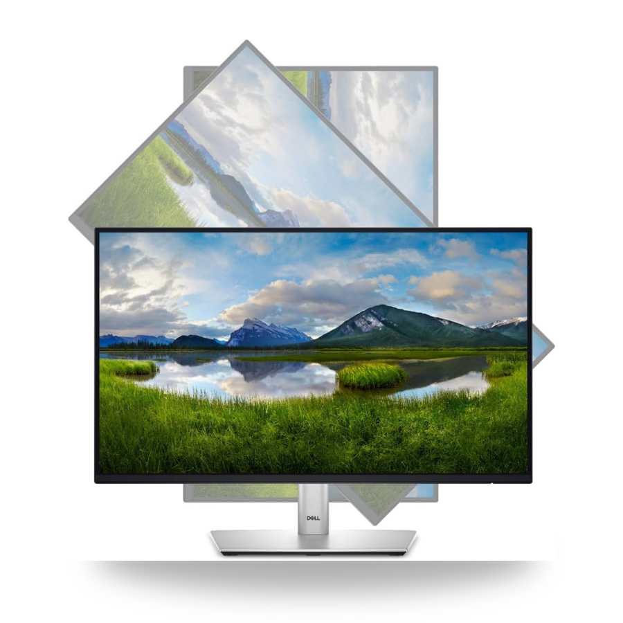 Dell 24 Monitor P2422H Full HD 1080p