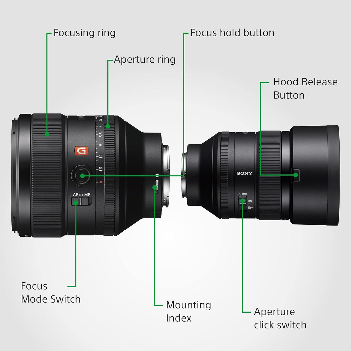 Sony FE 85mm f/1.4 GM Lens