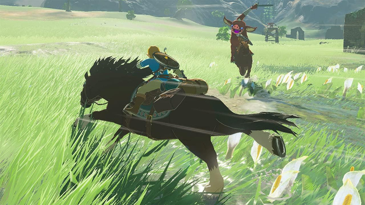 The Legend Of Zelda Breath Of The Wild Nintendo Switch Video Game (Nintendo Switch)