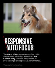 Canon RF 100-400mm F5.6-8 IS USM - Lens for Canon R system cameras, ideal for wildlife photography, sports, action and aviation.