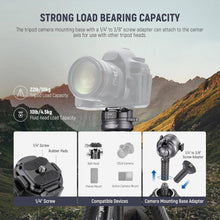 NEEWER LITETRIP LT32 62