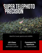 Canon RF 70-200mm F/4 L IS USM Lens for Mirrorless Camera