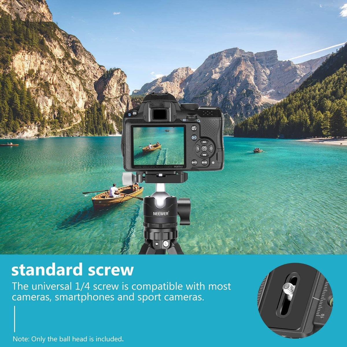NEEWER 28mm Low-Profile Tripod Ball Head with Quick Release Plate & Bubble Level 360° Panoramic Rotation, 1/4-Inch Screw Mount, Max Load 5kg for DSLR Cameras, Tripods, Monopods, Sliders
