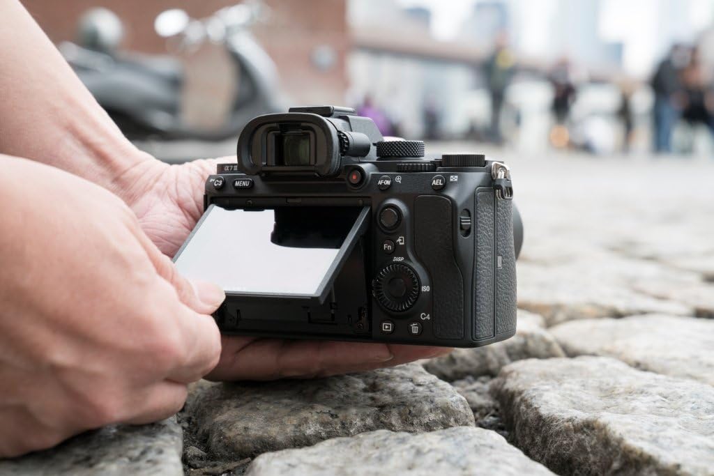 Sony Alpha a7 III Mirrorless Digital Camera (Body Only)