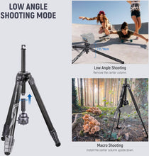 NEEWER LITETRIP LT32 62