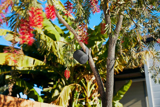 Sony SRS-XB100 Wireless Bluetooth Speaker, Portable, Lightweight, Compact, Outdoor, Travel Speaker, Durable, IP67 Waterproof and Dustproof, 16 Hour Battery, Carry Strap, Hands-Free Calling, Blue