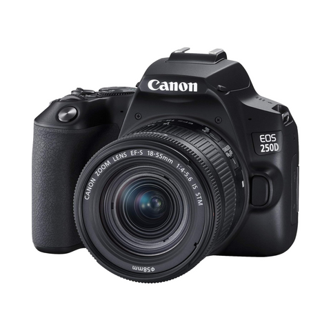 Canon EOS 250D + Canon EF-s 18-55mm f/4-5.6 IS STM Lens - Black