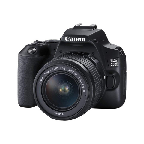 Canon EOS 250D DSLR Camera With EFS 18-55 DC III Lens 24.1 MP APS-C Sensor 5 FPS Vari-Angle Touchscreen 4K Movies Wi-Fi Bluetooth