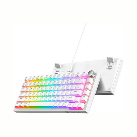 Baytion Mechanical Gaming Keyboard, 82 Keys 75% Compact Gaming Keyboard with Rainbow LED Backlit Wired Anti-Ghosting Mechanical Keyboard with Knob for Windows and Mac, White(Red Switches）
