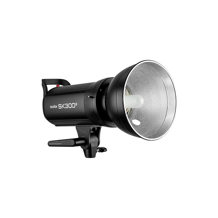 Godox SK300 II 2-Light Studio Flash Kit 300Ws Monolights