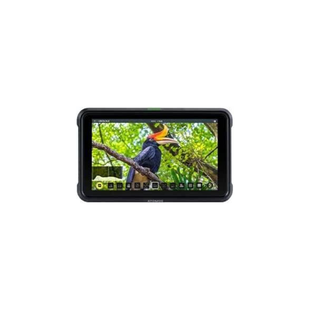 Atomos Shinobi