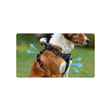 Insta360 Pet Harness Mount Size S