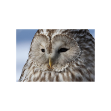 Canon EOS R7 Mirrorless Camera with RF-S 18-150mm STM Lens