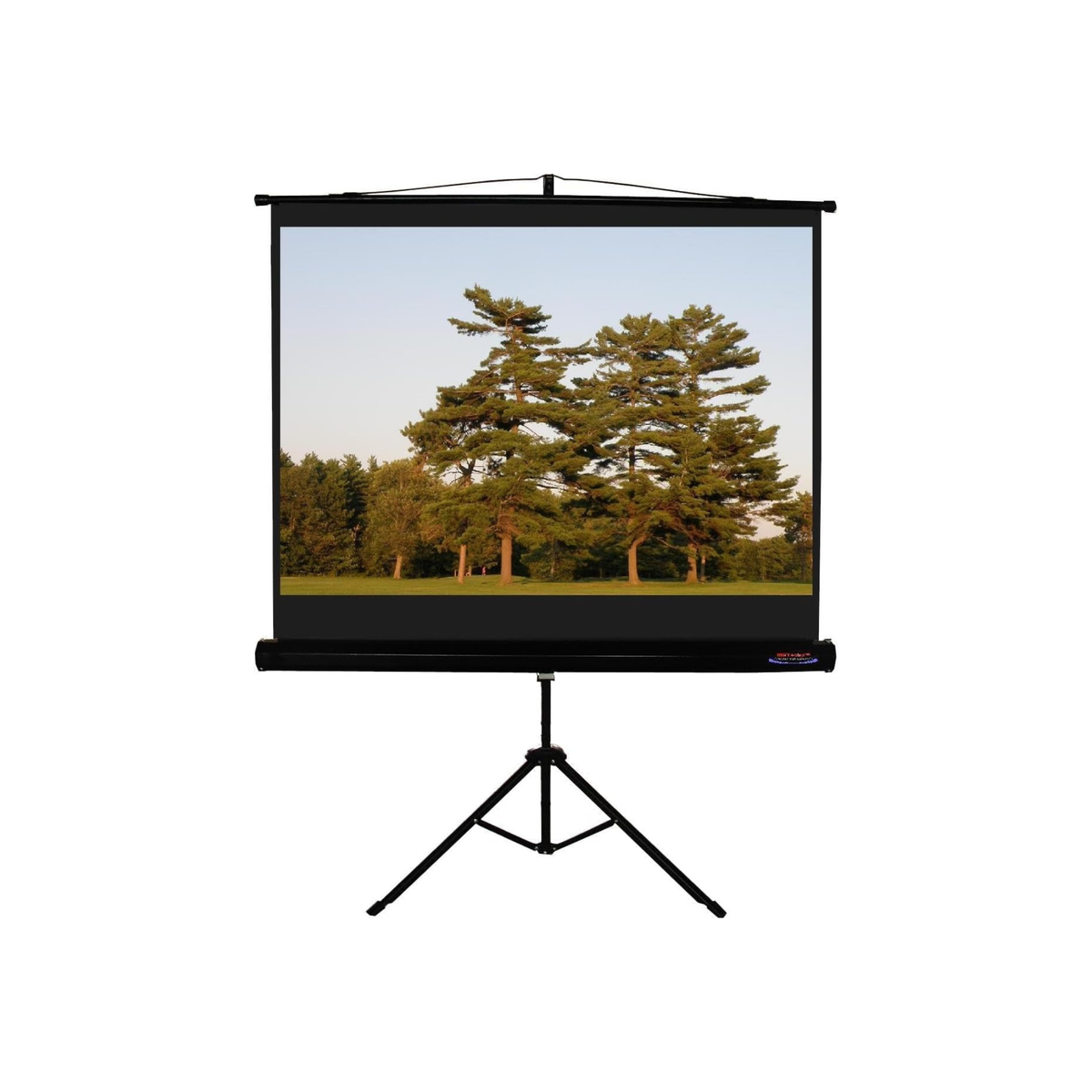 iview T200 Manual Tripod Projector Screen 200x200 cms