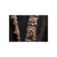 Dyson HT01 Airstrait Straightener, 1600W, LCD Screen, Wet to Dry Hair, 2 Modes - 3 Heat, 3 Speed Power, 240V Voltage, Intuitive Airflow, Lock Feature, Auto-Pause, Jasper Plum | HT01