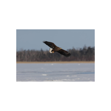 Canon EOS R7 Mirrorless Camera with RF-S 18-150mm STM Lens