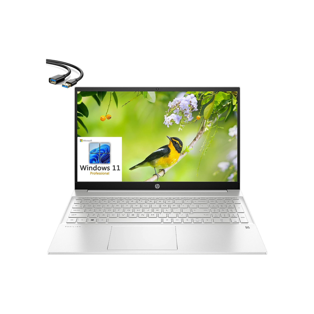 HP 2023 Pavilion 15 15.6" FHD Business Laptop, 12th Gen Intel 10 Cores i7-1255U, 32GB DDR4 RAM, 1TB PCIe SSD, WiFi 6, Bluetooth 5.2, Webcam, Natural Silver, Windows 11 Pro, USB 3.0 Extension Cable