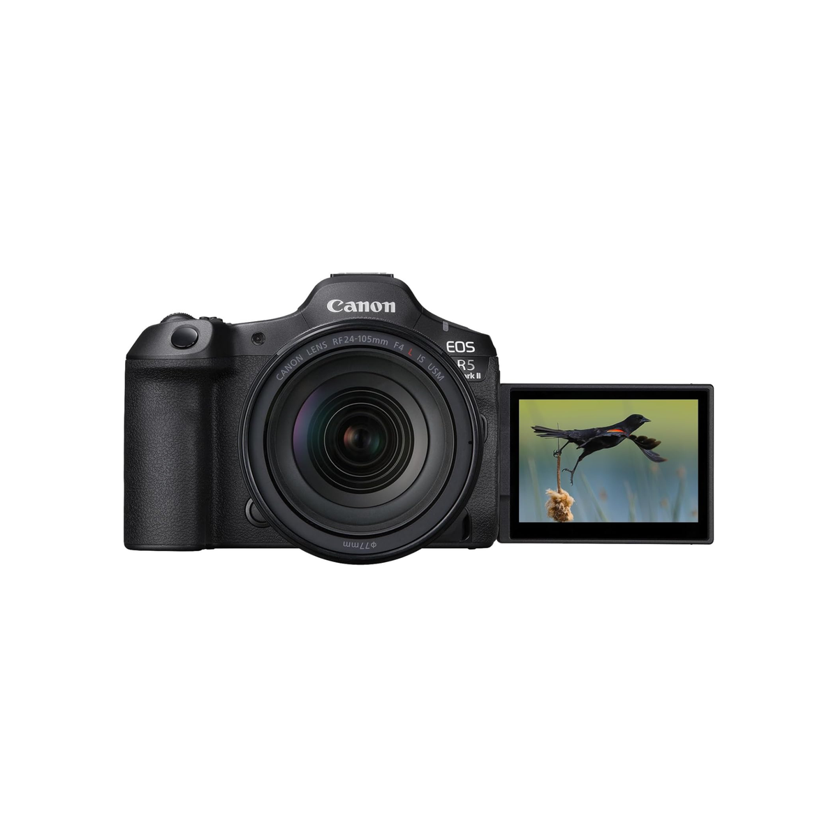 Canon EOS R5 Mark II Mirrorless Camera + RF 24-105mm F4L IS USM Lens