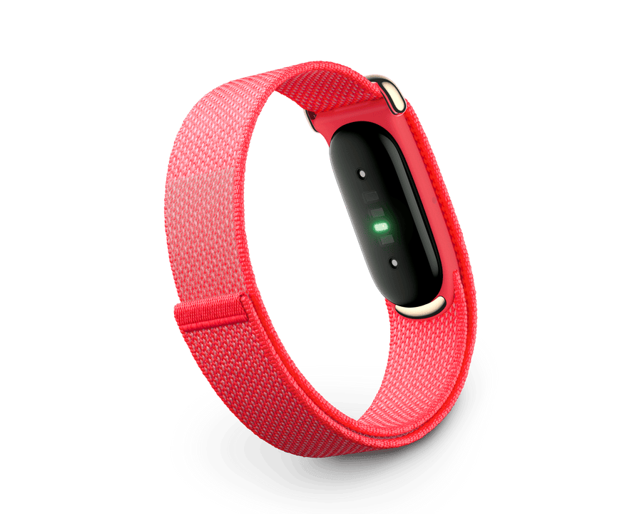 Google Fitbit Air Screenless Fitness Tracker