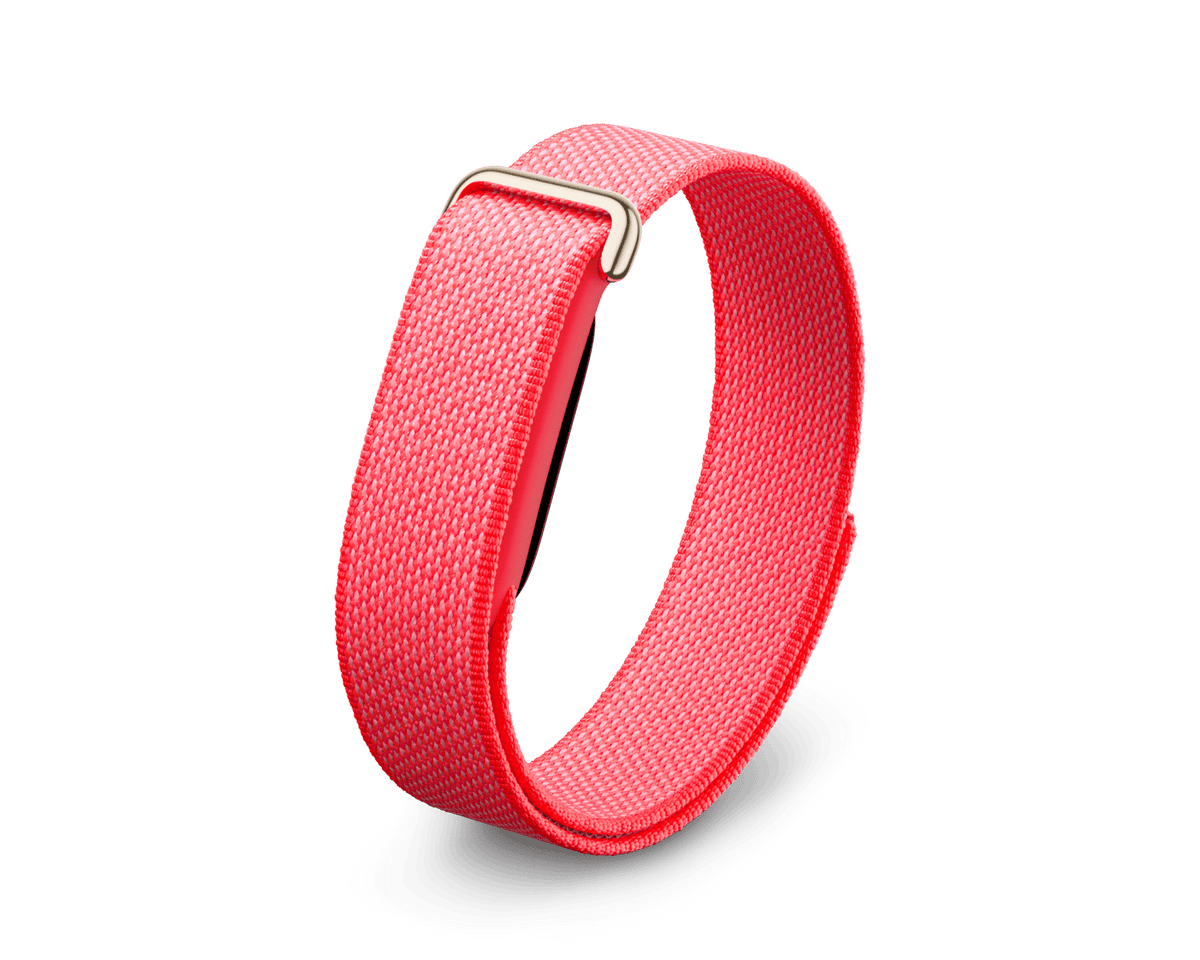 Google Fitbit Air tracker with Berry Performance Loop band, front three-quarter view