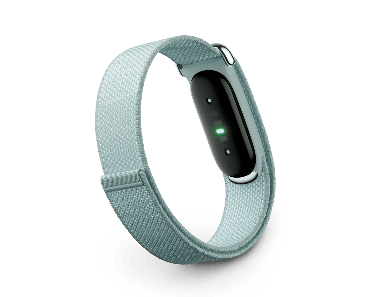 Google Fitbit Air with Fog Performance Loop band, side view