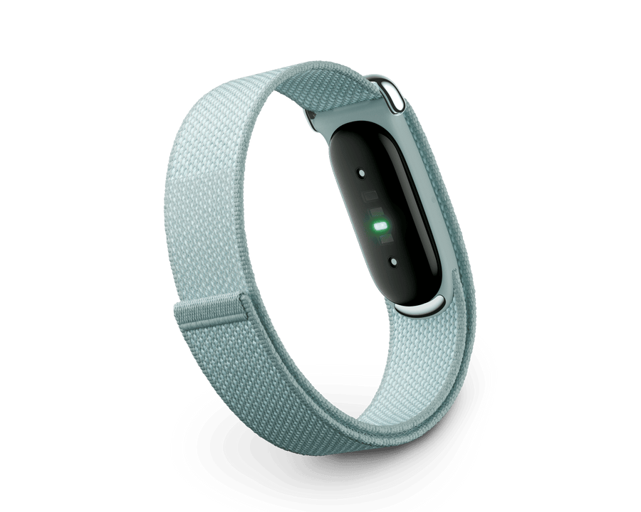 Google Fitbit Air Screenless Fitness Tracker