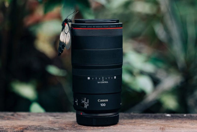 Canon RF 100mm F2.8 L Macro IS USM Lens